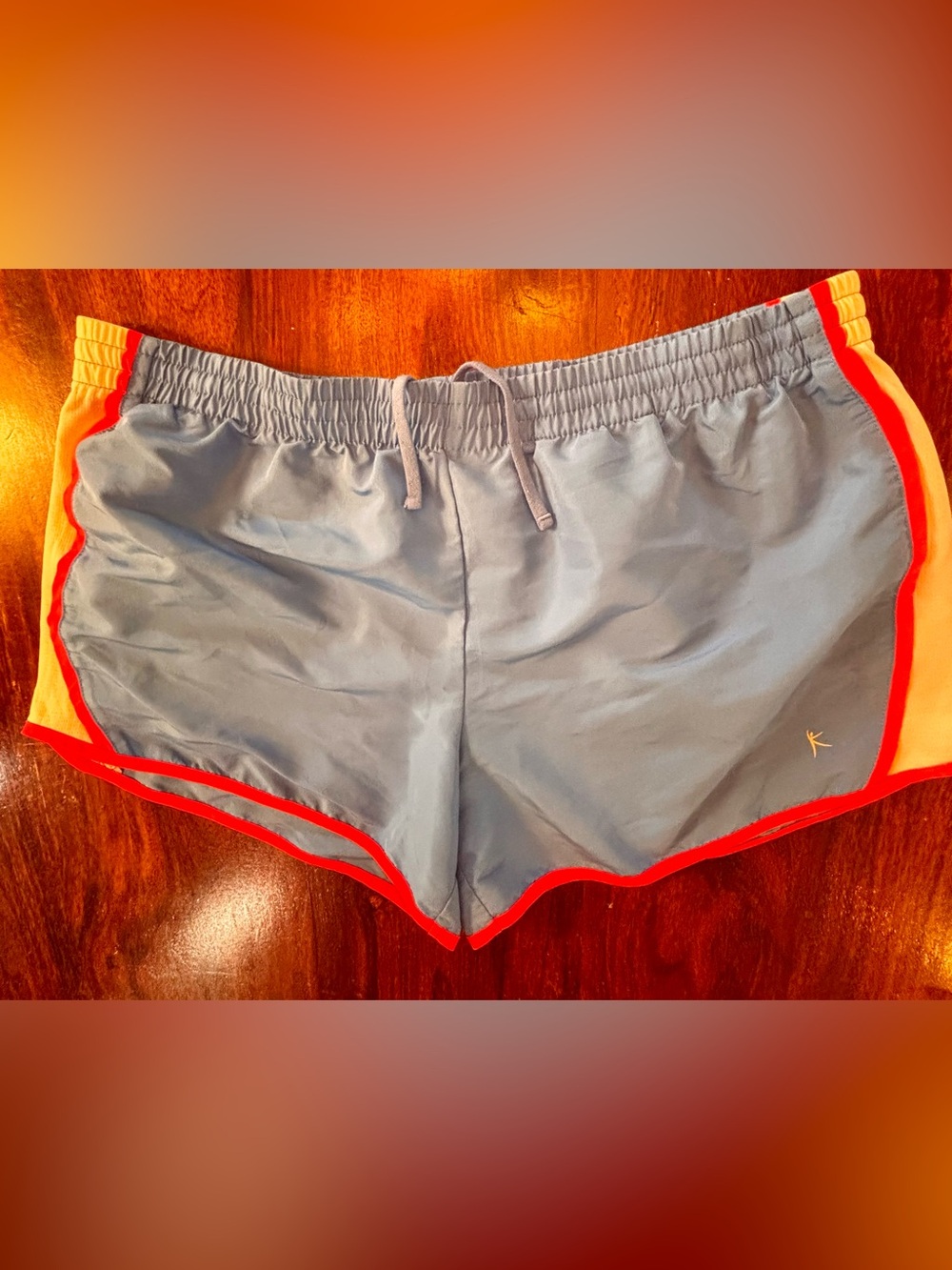 Danskin Now Running Shorts Womens XL Blue Pink Trim Athletic Gym Activewear